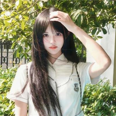 自由鸟